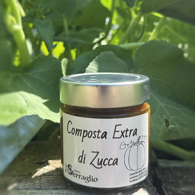 ZUCCA